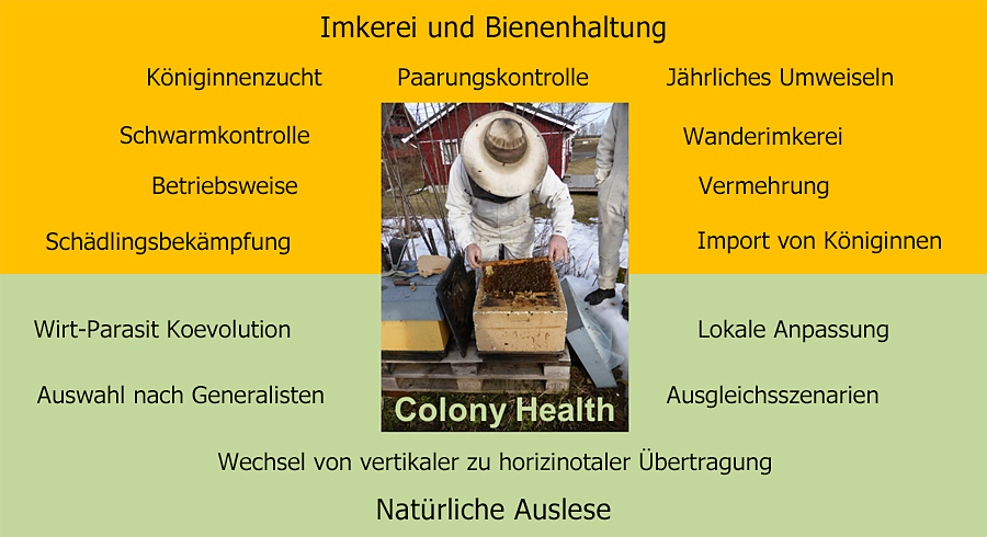 Das Darwin-Heilmittel 2 Das Darwin-Heilmittel 2